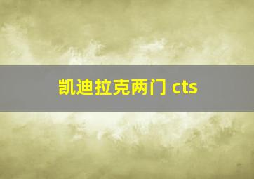 凯迪拉克两门 cts